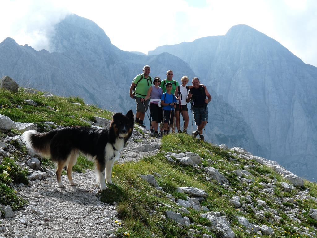 Alpotel Dolomiten Molveno Kültér fotó